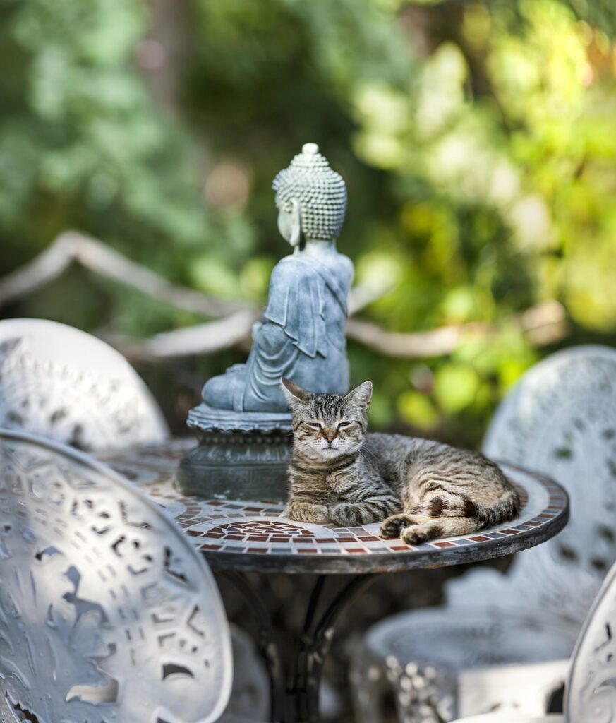 buddha, meditation, statue-1281249.jpg